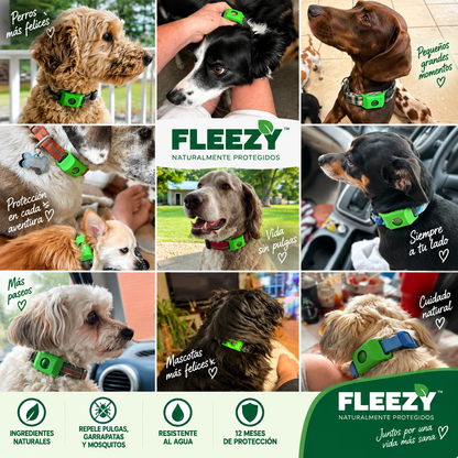 Fleezy® Protección de la Naturaleza para Principiantes – 12 Meses de Protección